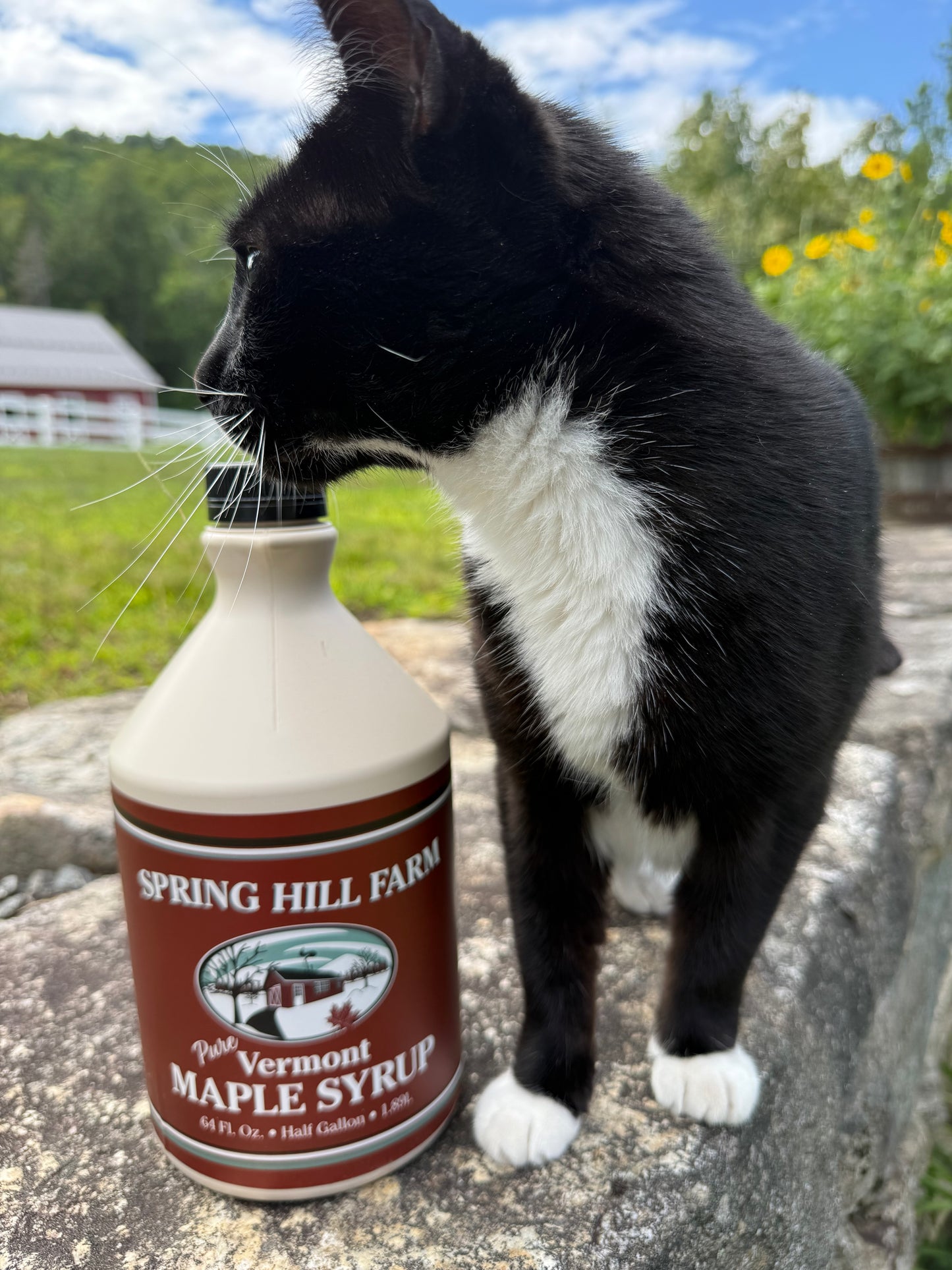 The Sugarhouse Jug: Pure Vermont Maple Syrup - 64 oz, Amber Grade